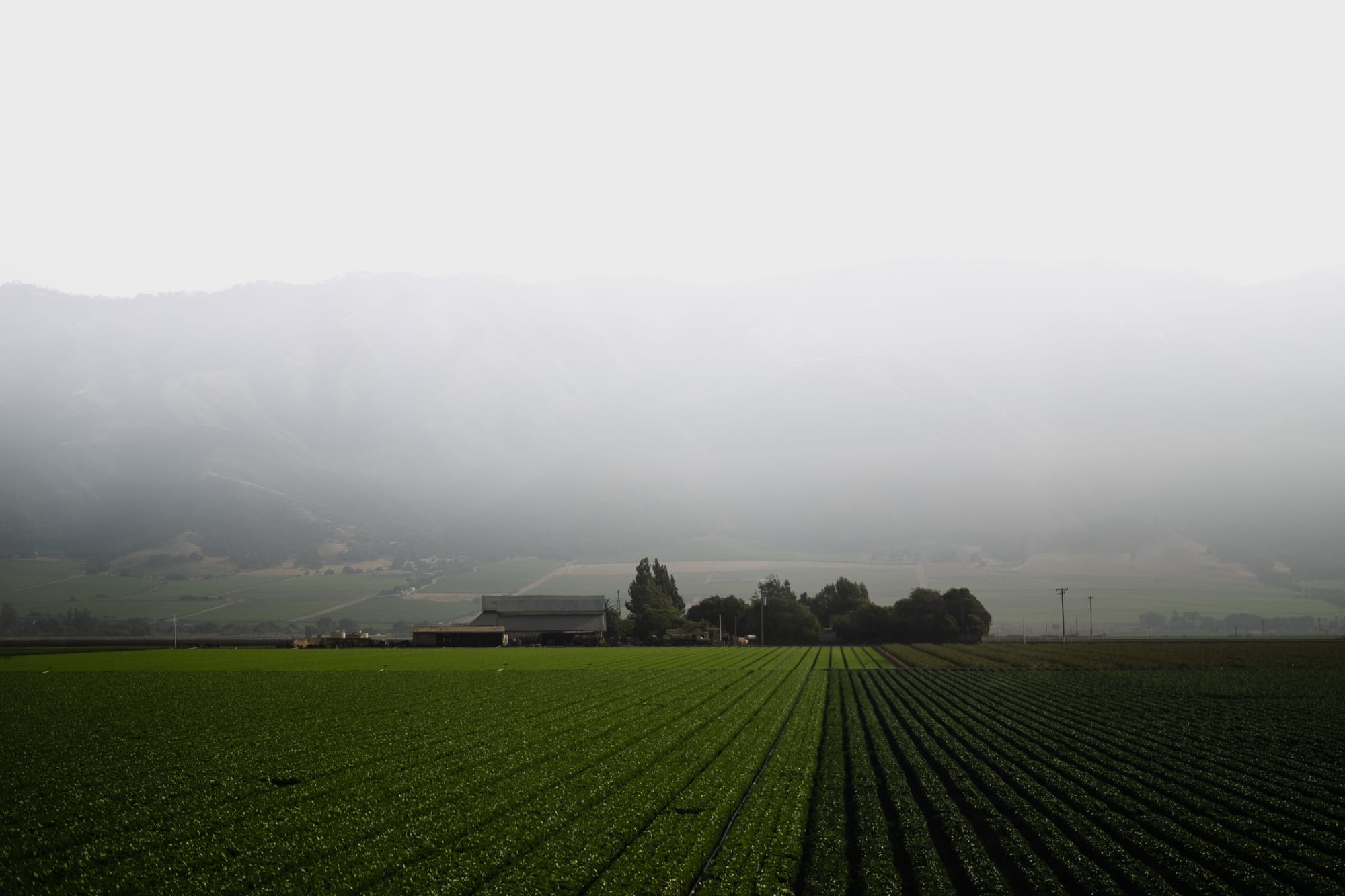 Introducing California Harvesters, Bakersfield