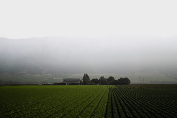 Introducing California Harvesters, Bakersfield