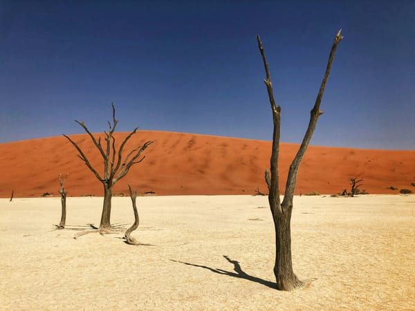 Namibia Boost Green Energy Potential with Envision Partnership